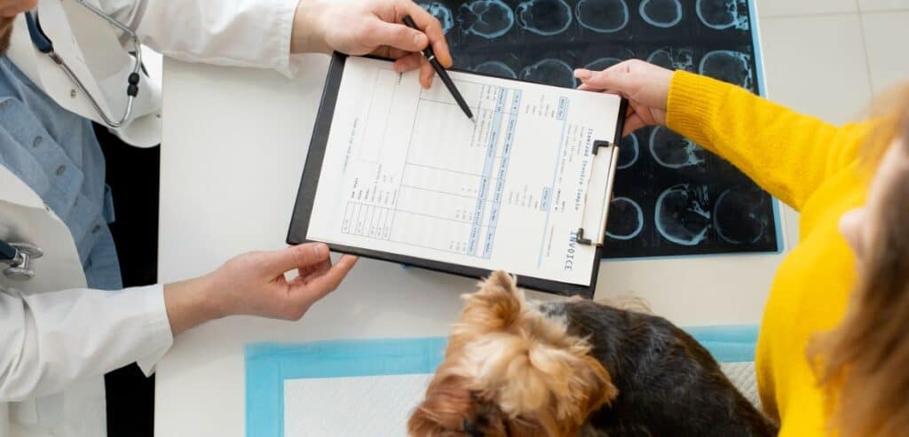 How Businesses Can Improve Approval Outcomes